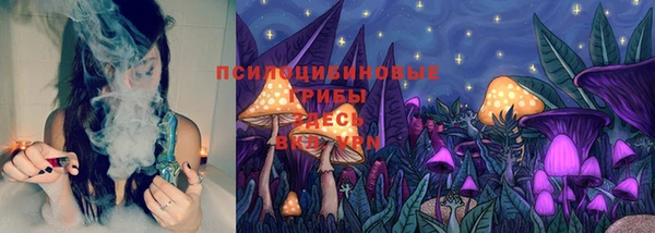 эйфоретик Богородицк