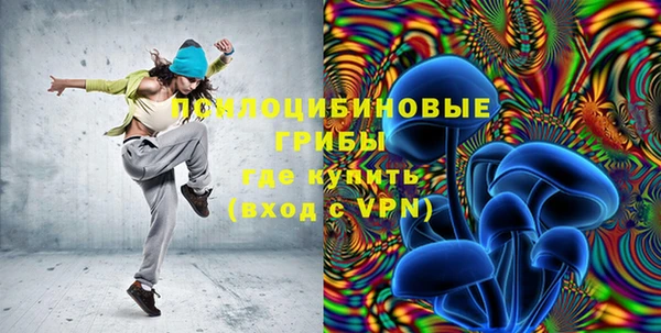 эйфоретик Богородицк